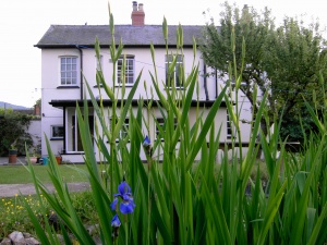 Windyridge Walkers Haven Windyridge Walkers Haven