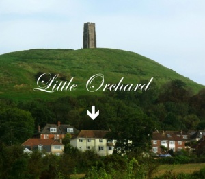 Little Orchard Little Orchard